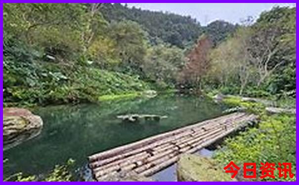 上海暑假带孩子值得玩的地方